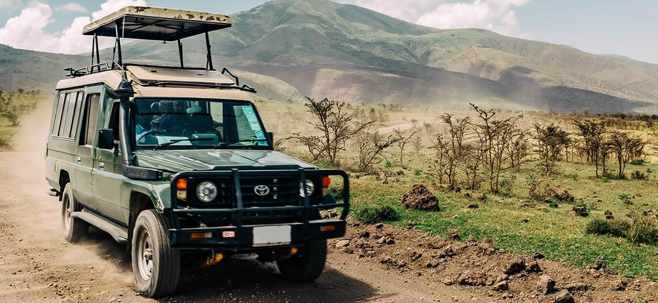 Safari Drive Adventures Booking System